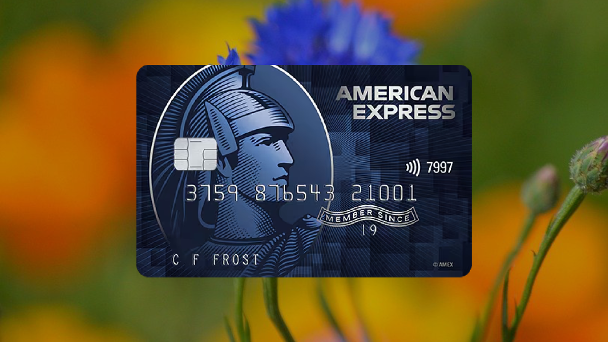 How to Apply for the American Express Cashback Credit Card Easily