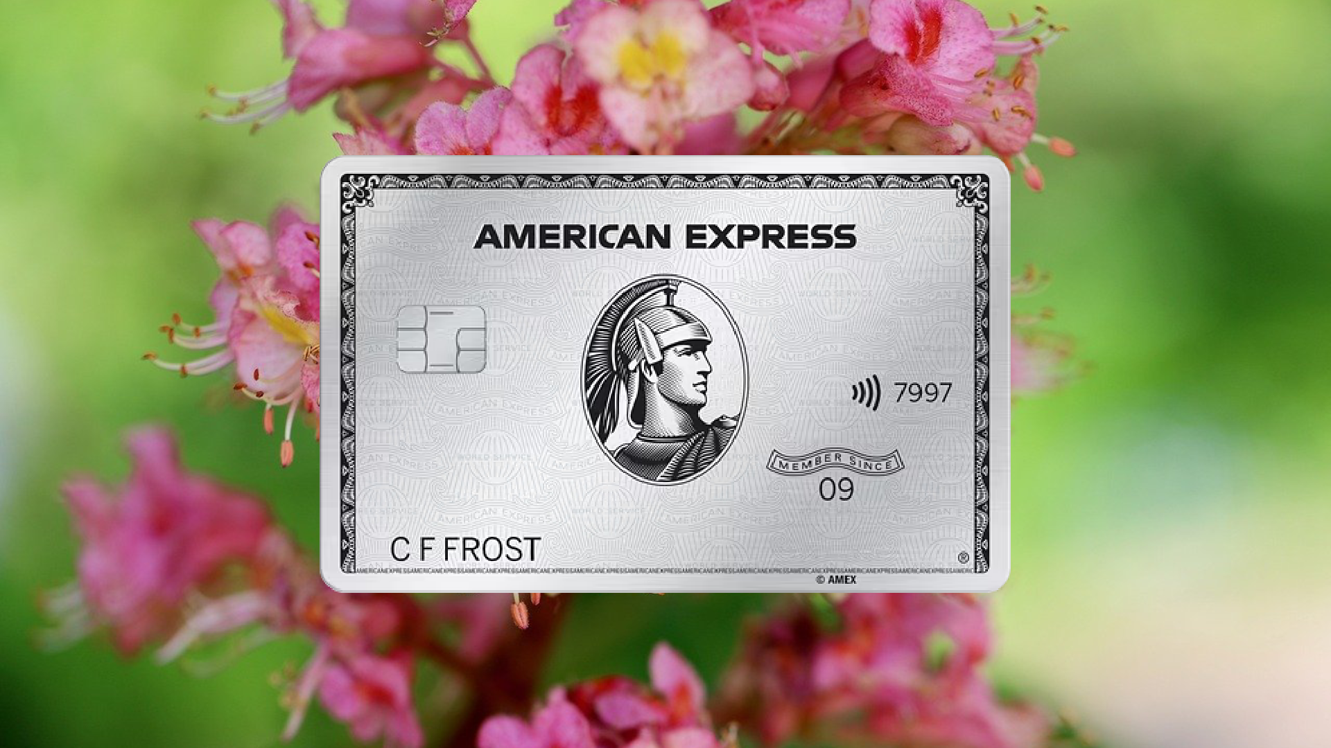 How to Apply for the American Express Platinum Credit Card Today
