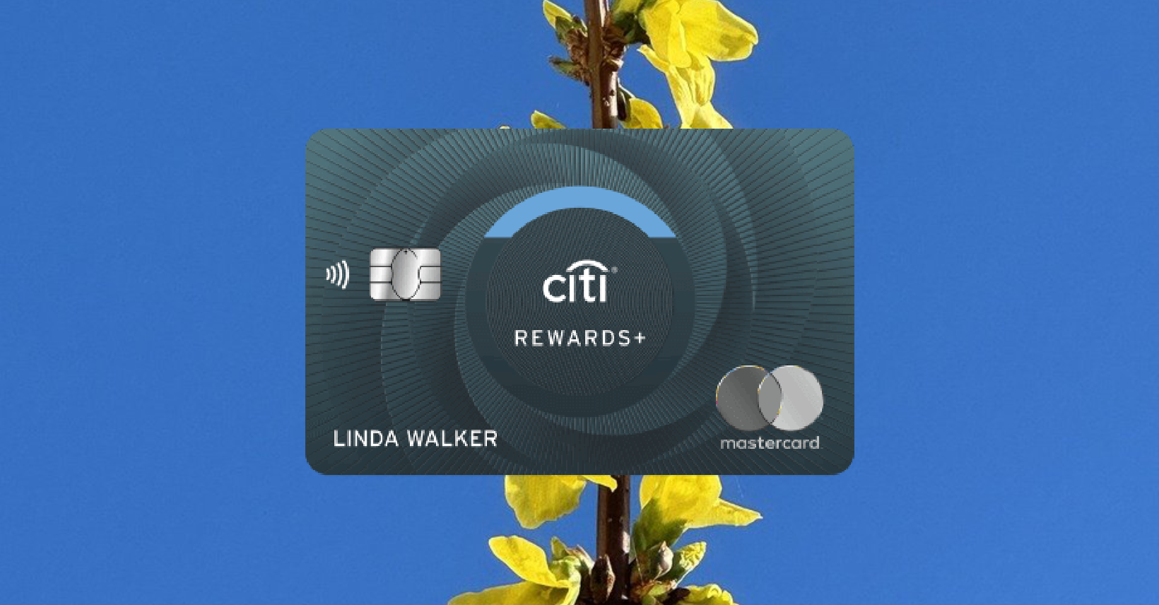 How to Apply for a Citi Rewards Credit Card A Step-by-Step Guide